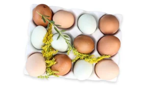 OVOFACTOR: Factores de transferencia (proteínas y péptidos) provenientes del huevo de gallina, las cuales son otra fuente excelente de respaldo para el sistema inmunológico