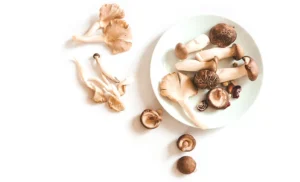 SUPERHONGOS: 4Life Transfer Factor Plus incluye una mezcla patentada de hongos maitake, shiitake, cordyceps y agaricus blazei para ofrecer respaldo adicional al sistema inmunológico.