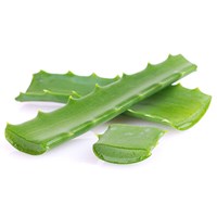 EXTRACTO DE GEL DE LA HOJA DE ALOE:  Proveniente del centro de la hoja de Aloe que respalda el equilibrio del sistema inmunitario y también provee beneficios derIvados de sus fitonutrientes.