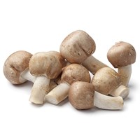 EXTRACTO DE AGARICUS BLAZEI: Hongo que impulsa y da equilibrio al sistema inmunológico y que contiene propiedades antioxidantes.